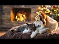 Cozy Purring Cat ASMR | Cozy Fireplace Burning & Purr Sound to Sleep, Rest, Focus | Healing Insomnia