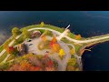 Fall Foliage in Cheat Lake, West Virginia | Fall 2020 | Cinematic Drone Footage in 4K