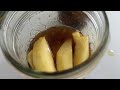 How to make honey pickled apples, anime cooking (Spice and Wolf)