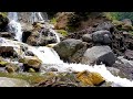Peaceful Stream ASMR: Nature's Lullaby to Banish Stress and Insomnia | LuLu Sounds