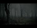 Haunted Forest - Ambience (no music) - sounds of a misty creepy forest