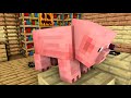 Wolf Life 1: Wolf And His Family - Minecraft Animation