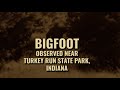 My thoughts on the recent BigFoot sighting in Turkey Run State Park