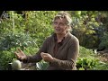 Potagers en permaculture : 4 exemples sur le même jardin