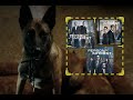 Person Of Interest Soundtrack - Bear Theme Compilation (barking warning)