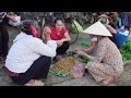 Harvesting Peanuts & Green Vegetables Go to market sell - Daily Life | Lý Tiểu Anh