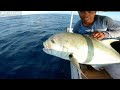 LIGHT JIGGING FISHING GT BABON PERSONAL RECORD