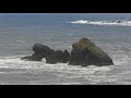 Pelicans Nest 10 big swell today 10-17 long video