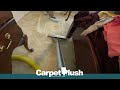 Do You See This BIG Spot! Carpet Cleaning #ASMR #satisfyingcleaning