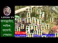 লাল চেয়ারম্যান, ১২নং খাসকররা ইউনিয়ন, চুয়াডাঙ্গা।