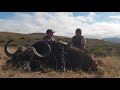 Buffalo Hunting Recap With Colton - Eastern Cape - Africa Hunting