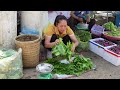 Harvesting Malabar Spinach Goes to market sell - Daily life | Lý Tiểu Anh