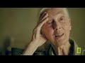 Jane Goodall: An Inside Look (Full Episode) | National Geographic