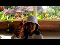 Explore PANTAI TANJUNG LESUNG | Lalassa Beach Club Pantai Tanjung Lesung Pandeglang Banten