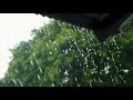 Rain On tin Roof 1 Hour | Rain sound | thunder | birds | for Study, Relax, Meditation or Sleep