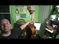 Stuart Dual Cello Pickup