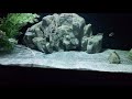 TEASER VIDEO OF THE ALL NEW STOCK IN THE 300 GALLON. CAN YOU NAME THEM ALL?