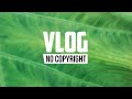 Hamili - Paradisio (Vlog No Copyright Music)