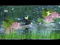 Raindrops and waterlilies/ healing rain sounds, relax dream, meditate