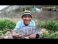 Masya Alloh hasilnya..😱 Rejeki nomplok menjala ikan tepat di sarangnya ikan nila liar