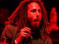 Rage Against the Machine - Live at the Grand Olympic (2000) (Full Concert)
