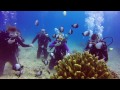 Scuba Diving Waikiki with Oahu Diving