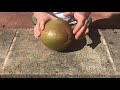 Opening coconut with bread knife 🌴💚