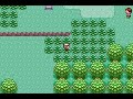 (Pokemon Emerald) Fully functioning Decamarks test