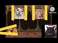 A Tale of Cats season 1 #a tale of cats #cats #cute #dramatic #story #weird #funny
