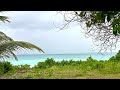 Wild Donkeys Take Over: Explore Diego Garcia (BIOT)