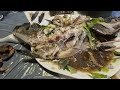 白帶胡椒鯛, 標本級, 非常罕見, 肉質就？~fishcutting香港海鮮~社長遊街市Seafood