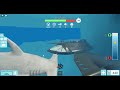 SharkBite Shoutouts and Gameplay