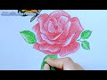 How To Draw Rose With Butterfly For Beginners Easy Steps (art video)