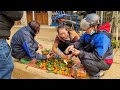 Harvesting orange fruit from trees to sell at traditional markets