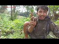 MENYERAMKAN..!! Mancing Channa Limbata Ditempat Angker || Sungai Yang Banyak Ikan Channa Limbatanya