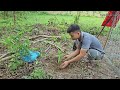 The young lady come to visit and thanks for my help. How to grow bamboo shoot. Dailylife & farm ep24