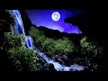 Relaxing white noise night full moon waterfall flowing fast and long
