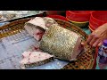 Chopping 24kg Slate Cod Croaker, Fish Maw worths USD1,300 【OH! Seafood 4K】