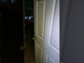 MY DOOR IS CREEPY!