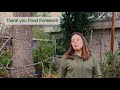 Food Forests For the Future!