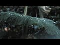 FAIME - Rain 1 Hour Super Chill (With Real Rain Sound)