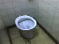 best toilet in ukraine