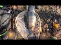 Fishing for MONSTER size Rainbow Trout!!!