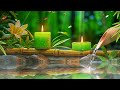 Healing Music for Anxiety Disorders , Stress and Chronic Fatigue - Heal the Mind for Deep Meditation