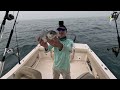 NON-STOP ACTION! Fishing For AMBERJACK With LIGHT TACKLE! [How To Tips and Techniques]