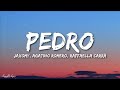 PEDRO - Jaxomy, Agatino Romero, Raffaella Carrà (TikTok Song) (Lyrics) [1HOUR]