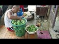 Vlog 202 Namili ako ng mga paninda at namitas kami ng mangga para ibenta  | Madam Headband