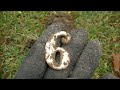 Metal Detecting Old House - Big Surprise From 1800's!