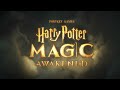 ⚡ Harry Potter : Magic Awakened DUO PUSH! FINALLY PLAYING AGAINST REAL PLAYERS WITH MY TROLLS🧌 ⚡