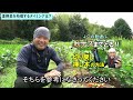 【放置注意】夏野菜の処理の仕方